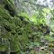 Cherney Maribel Caves State Natural Area